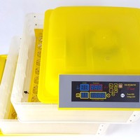 Prix usine Mini incubateur d'oeufs automatique Machine à couver les oeufs de batterie de 12 volts à vendre
