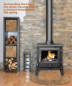 Estufas de <span class=keywords><strong>leña</strong></span> de hierro fundido para interiores, resistentes al calor, para el hogar, de la marca US Forest. - Product Image 3