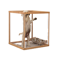 Clôture pour animaux de compagnie transparente et incassable en bois respirant avec porte, enclos pour petits chiens, cage sans assemblage requis, pour intérieur