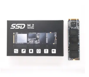 Disque SSD M2 1 To NGFF 120 Go à 960 Go Disque dur efficace pour ordinateur portable Vert 2 To SSD Démarrage rapide Coque métallique Nouveau produit