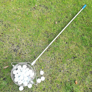 Nouveau Type multifonction petite balle de Golf ronde manuelle pas chère outil de cueillette de fruits de <span class=keywords><strong>noix</strong></span> de noyer ramassage à la main Machine de cueillette de Tennis de Table - Product Image 2