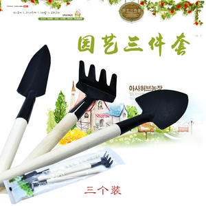 Juego de herramientas para jardinería de plantas suculentas (3 piezas): Herramientas multiusos para plantas en maceta, que incluyen una pala, un rastrillo y una azada. - Product Image 2