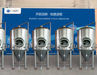 Cuve de Fermentation Conique en Acier Inoxydable 500L avec Chemise de Refroidissement et Trappe Latérale – En Stock