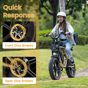 Jansno 20-Inch Fat Tire Electric Dirt Bike 250W 750 Electric Bicycle E-Bike 48V 34AH Dual Lithium Battery Bicicleta Electric - Product Image 4