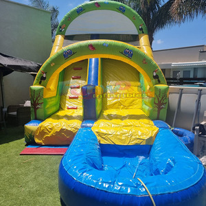 Structure gonflable aquatique de qualité commerciale pour enfants, avec toboggan et piscine, pour fêtes en plein air. - Product Image 4