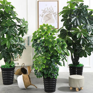 Arbre à argent artificiel grand modèle, <span class=keywords><strong>pot</strong></span> vert, faux bonsaï, ornements en caoutchouc souple, 160 cm, plantes décoratives pour le bureau, vente en gros - Product Image 3