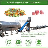 800kg/uur snelvrieslijn voor fruit, groenten en vis, volautomatisch, hoge efficiëntie, gepasteuriseerde, op maat gemaakte uitvoering