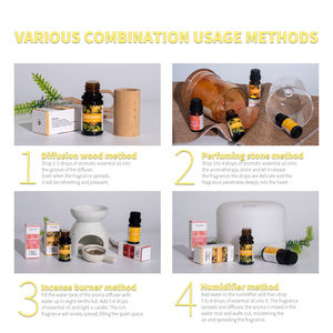 Großhandel natürliche ätherische Öl Geschenkset aus China/10pcs Jasmin Lavendel Ingwer Parfüm Bulk für Diffusor und <span class=keywords><strong>Massage</strong></span> - Product Image 5