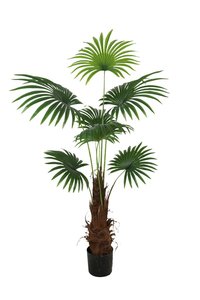 <span class=keywords><strong>Palmera</strong></span> Artificial Nórdica de Imitación, Planta Tropical Verde para Decoración de Interiores, Hogar, Sala de Estar y Paisajismo, Venta al Por Mayor - Product Image 3