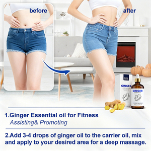 OEM Private Label Manufacturer Low Price Pure Ginger Extract <strong>Oil</strong> Massage <strong>Oil</strong> 100% Natural Ginger Essential Extract - Product Image 5
