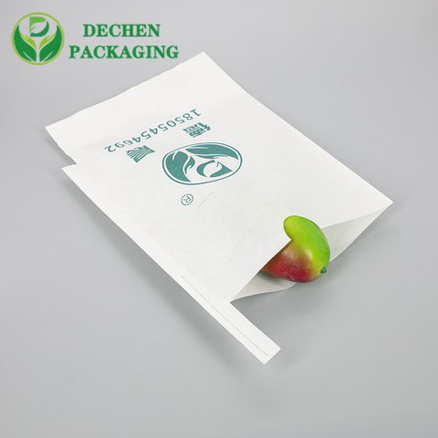 Taiwan Mango Fruit Protective Paper Bag In Thailand