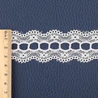 Vente en gros usine : Tissu de dentelle suisse ajouré bilatéral, dentelle de tulle brodée perforée et élastique, accessoires de garniture en dentelle