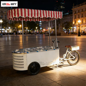 Tricycle à café, solution de boissons portable pour les entrepreneurs mobiles, chariot de camion de crème glacée avec congélateur - Product Image 3