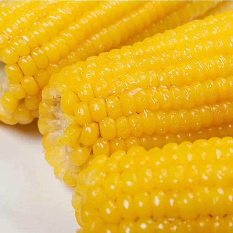 Frozen Sweet Corn Kernels IQF Frozen Grain Waxy Glutinous Colorful Organic Corn Cob