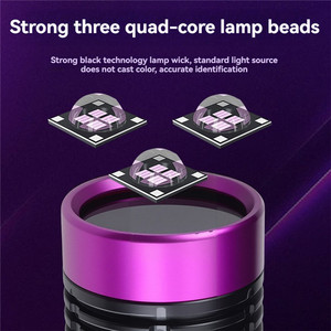 Lampe de poche UV LED haute puissance rechargeable 365nm Blacklight Ultraviolet Invisible Ink Marker Pet Urine Stain Scorpion Check Torch - Product Image 3