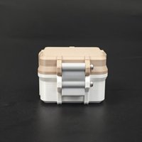 Caja de Almacenamiento de Botellas de Péptidos Personalizada de Alta Gama, con Función Antichoque, Adecuada para Botellas Pequeñas, Caja de Almacenamiento para Viajes
