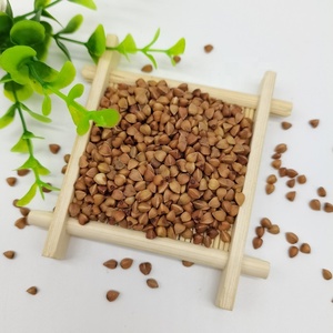 Bán Hạt Kiều Mạch Chất Lượng Tốt Nhất Hạt Kiều Mạch Rang Thô Ngọt - Product Image 4