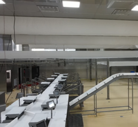 Ligne de convoyage industrielle intelligente pour abattoir avec suivi des données et traitement automatisé