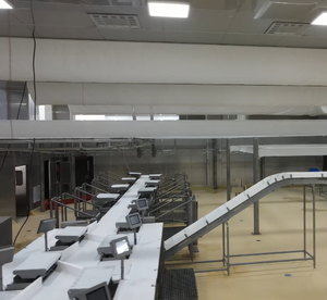 Ligne de convoyage industrielle intelligente pour abattoir avec suivi des données et traitement automatisé - Product Image 3