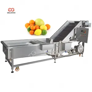 Manufacturers Sale Commercial Small Scale Citrus Fruit Washers Leaf Vegetable Washing Machine