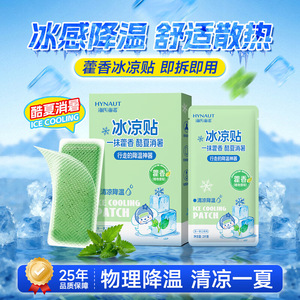 Haishi Hainuo Patchs Rafraîchissants C206 Patchouli 10 Pièces par Boîte Soulagement Chaleur Estivale pour Utilisation en Extérieur - Product Image 3