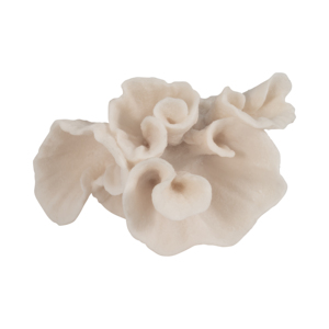 Scultura in Resina Ispirata ai Coralli, Ornamento Decorativo per Casa, Bagno, Soggiorno, Scaffale, Ufficio - Product Image 6