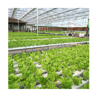 Serre en dents de scie Microgreens Système de culture Serre hydroponique Serres agricoles