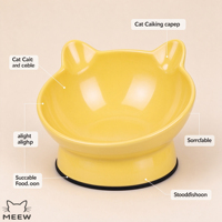 Bol en céramique surélevé pour animaux de compagnie avec base antidérapante, pour nourriture et eau, pour chats et petits chiens