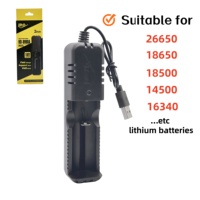 Chargeur de batterie USB double port Type-C avec arrêt automatique, protection contre les surcharges, charge intelligente pour batteries lithium-ion 18650, appareil photo