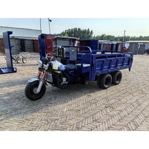 Tricycle de fret à 9 roues avec double essieu arrière, refroidissement par eau 350CC, personnalisé, à double roue/9 roues - Product Image 5