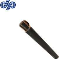 Câble d'alimentation isolé en cuivre n2xc 2y 0.6/1kv 2x6 mm² classe 5, fil + ruban de cuivre blindé, LLDPE, pour l'extérieur