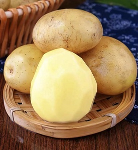 <span class=keywords><strong>Pomme</strong></span> <span class=keywords><strong>de</strong></span> <span class=keywords><strong>terre</strong></span> cultivée naturelle 100% biologique <span class=keywords><strong>de</strong></span> meilleure qualité à <span class=keywords><strong>prix</strong></span> compétitif <span class=keywords><strong>de</strong></span> Chine <span class=keywords><strong>prix</strong></span> d'usine <span class=keywords><strong>de</strong></span> gros - Product Image 6