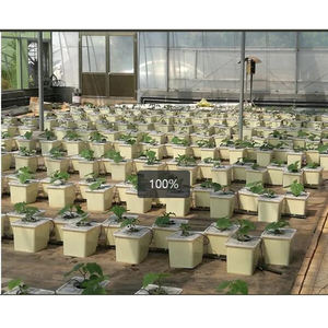 턴키 프로젝트를위한 수경법이있는 네덜란드 꽃 양동이 식물 냄비 수경 네덜란드 양동이 시스템 그린 하우스 - Product Image 2