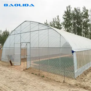 Excellent strength Low cost single-span green house plastic cover PEP greenhouse