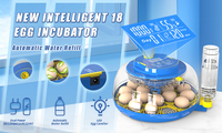 WONEGG Nouvelle Tendance 18 AC DC Incubateur Professionnel pour Œufs de Poule, Machine d'Éclosion