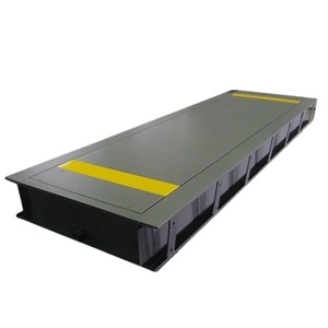 Balance de camion intelligente en temps réel : Mesure et classification du poids des véhicules - Product Image 1