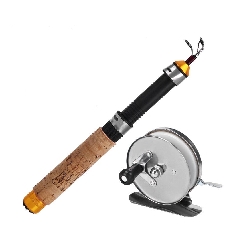 Tige de 60cm + bobine de fer (sans ligne)