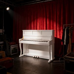 Accordéon piano pour enfants, piano mignon à 88 touches pour l'éveil musical et l'apprentissage des enfants, vente chaude - Product Image 2