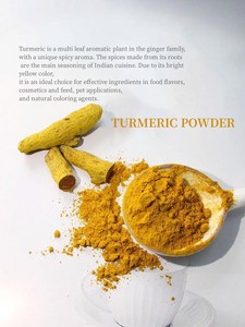 純粋ウコン根粉末 100g ウコンクルクミン粉末 OEM ウコン粉末 - Product Image 6
