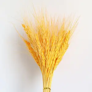 Dried Wheat Stalks 100 Stems Wheat Sheaves For Decorating Wedding Table Pampas Grass Wheat Dried Flowers