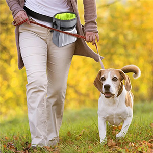 Bolsa para Premios de Perro – Bolsa Multifuncional para Snacks de Mascotas, 2 en 1, para Llevar al Hombro y a la Cintura, Bolsillo Portátil para Comida para Pasear, Entrenar y Viajar con Perros - Product Image 2