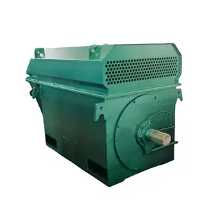 Customized Industrial Used 3 Phase Electric Asynchronous AC Induction High Voltage Motor