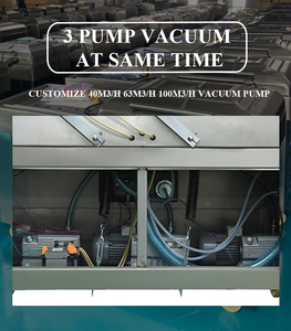 Automatic Double Chamber Best <strong>Vacuum</strong> Skin Packing Machine <strong>Packer</strong> for Food Fish Meat - Product Image 4