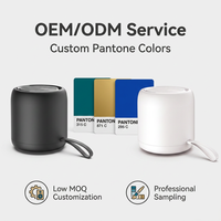 Altavoz Impermeable TWS de Moda en Stock, Emparejamiento Dual, Bajos Profundos, IPX7, Caja de Sonido para Exteriores, Logotipo Personalizado, Suministro a Granel de Fábrica, CE
