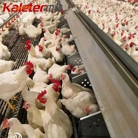 Machine à rouleaux automatique pour la collecte des œufs de poules pondeuses dans les nichoirs de ferme avicole