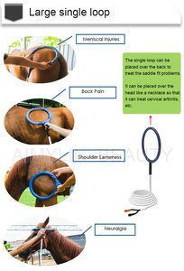 Macchina di terapia del cavallo di promozione equino sollievo dal dolore PMST LOOP PEMF dispositivo di terapia magnetica del cavallo macchina per la terapia del magnete del fisico - Product Image 3