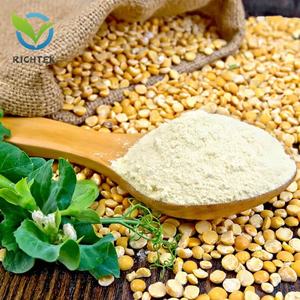 ร้อนขายการดูแลสุขภาพโรงงานอุปทานโรงงานอินทรีย์ล้างถั่วโปรตีนแยกผงราคาที่ดีถั่วโปรตีนผง - Product Image 6