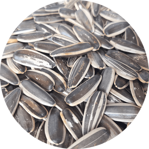 Graines <span class=keywords><strong>de</strong></span> <span class=keywords><strong>tournesol</strong></span> grillées saveur originale – Nouvelle récolte biologique, snacks santé végétaliens <span class=keywords><strong>de</strong></span> qualité supérieure, vente en gros - Product Image 1