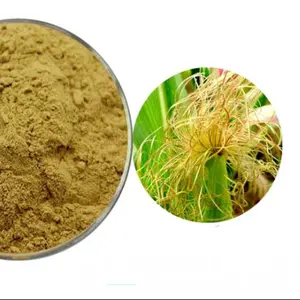 Extracto de seda de maíz de planta de hierbas de alta calidad Extracto de estigma de maíz Extracto de seda de maíz