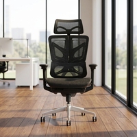 Chaise de bureau ergonomique haut de gamme en maille avec dossier poli, accoudoirs 4D et appuie-tête réglable
